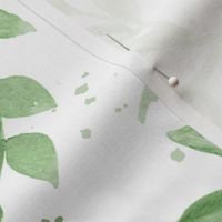Green Leaves Baby Blanket, Eucalyptus & Sage Swaddle + Hat or Headband,Watercolor Nature Baby,Scandi Nursery,Foliage Greenery